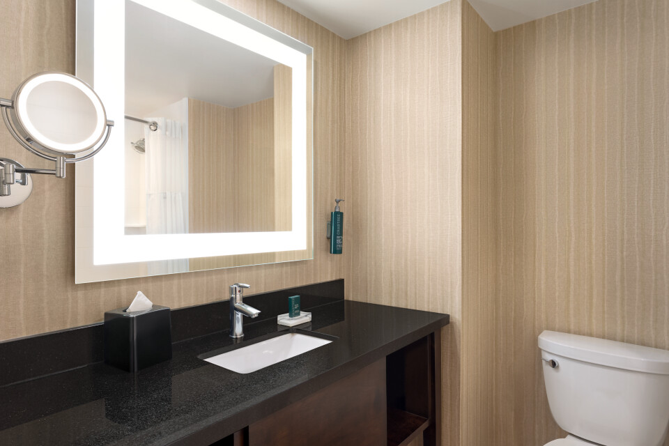 Guestroom Bathroom - 1528142