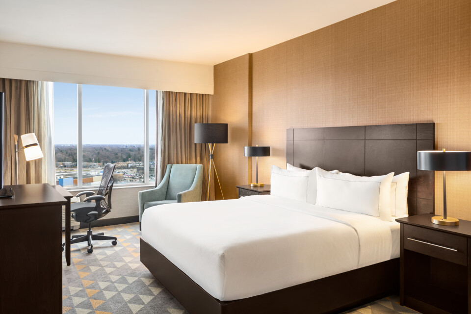 Presidential Suite - 1528168